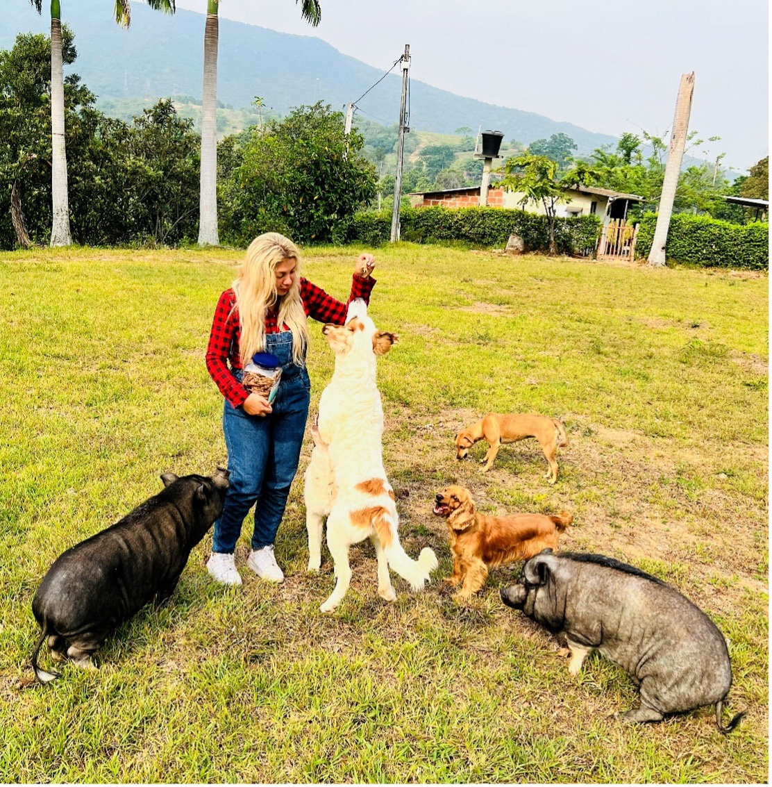 Ibeth compartiendo con perros y cerditos rescatados en El Ranchito