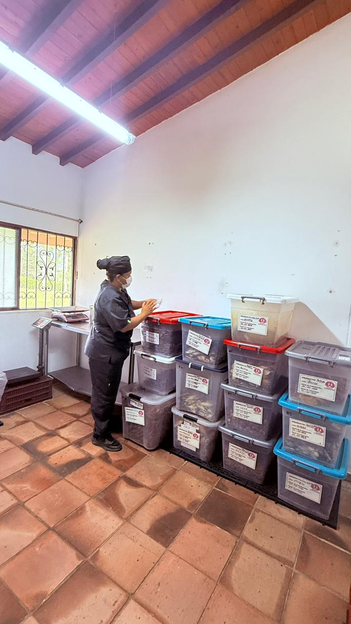 Operaria revisando producto en almacén