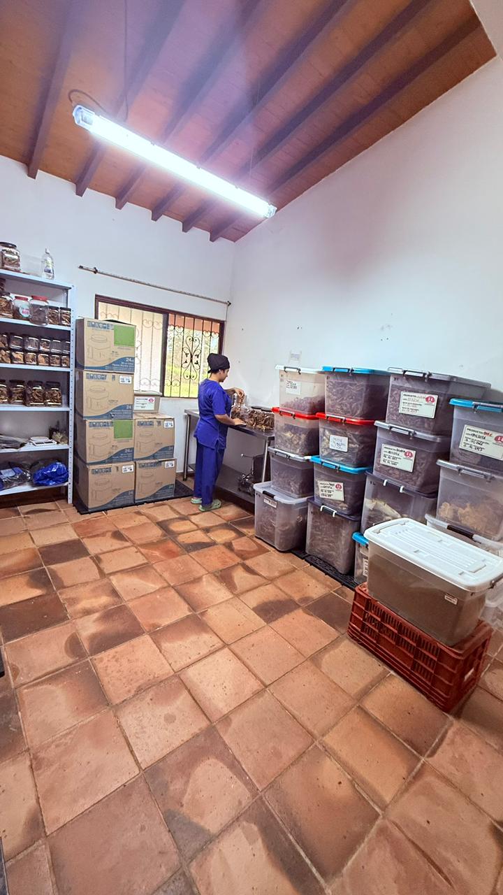 Área de pesaje y empaque en planta