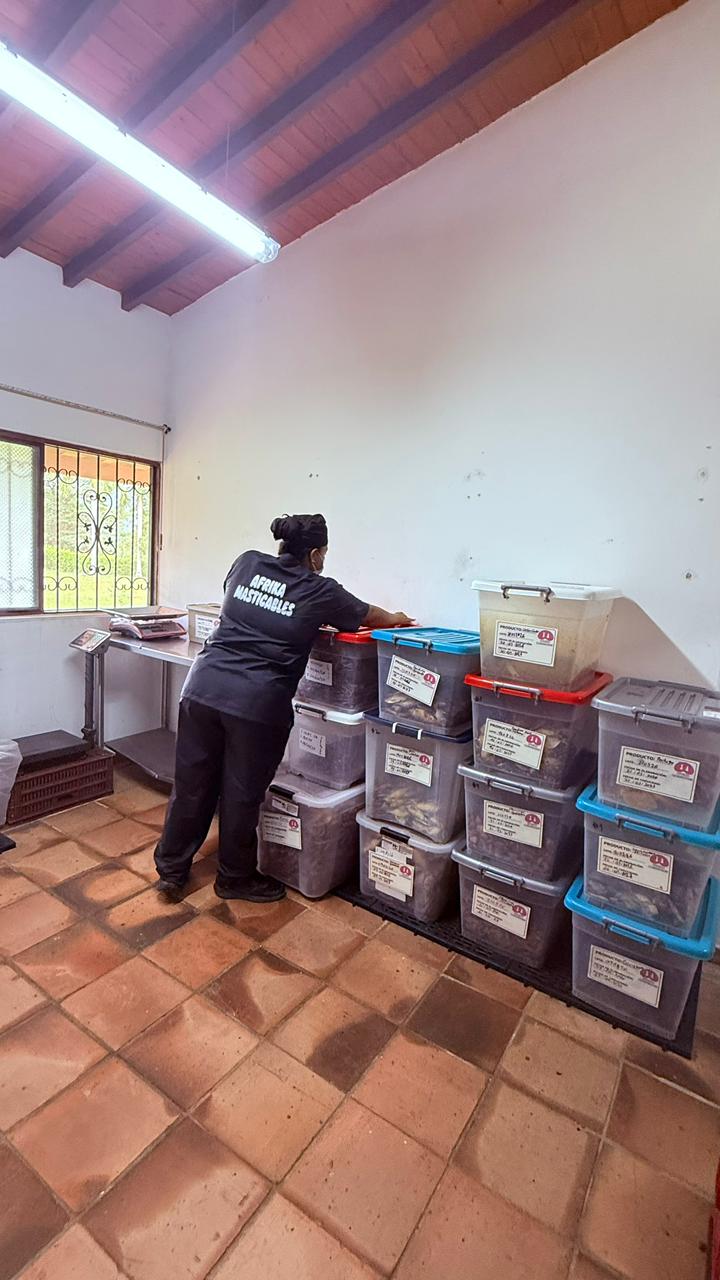 Operaria Afrika organizando lotes etiquetados de producto